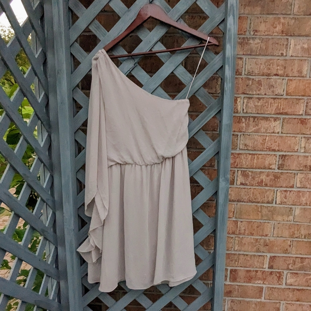 FLAWED Alice + Olivia Andromeda Greek Goddess Shimmering Silver Gray Dress